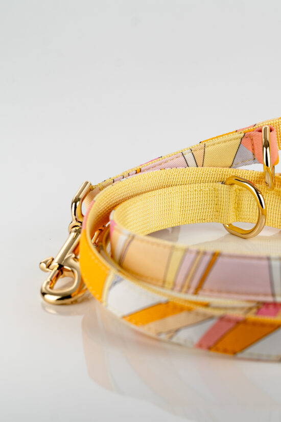 LEO Collar – IVI GmbH